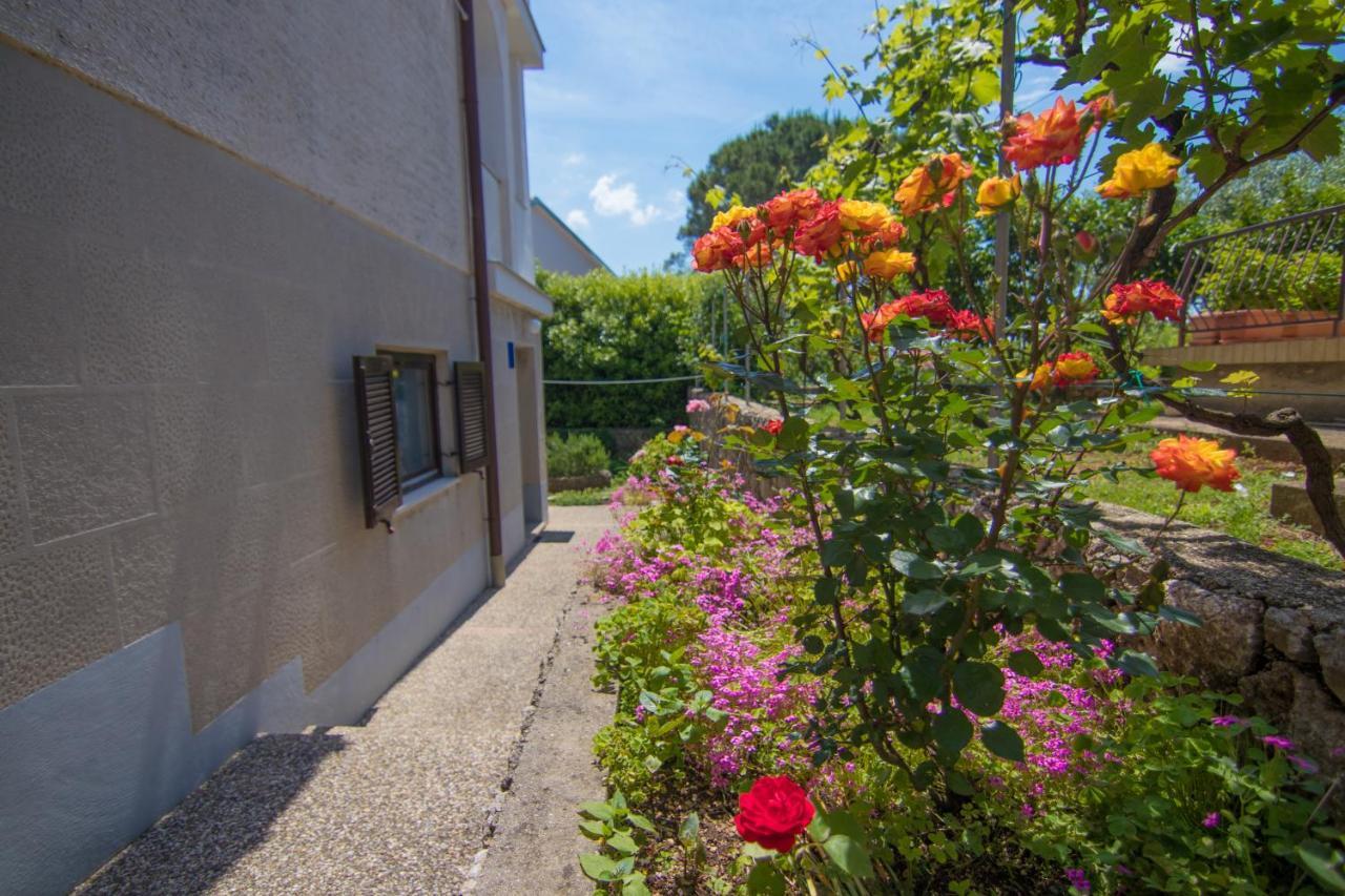 קרק Apartman Mara מראה חיצוני תמונה